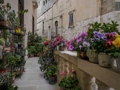 Decidiamo di terminare la visita uscendo sulla verdeggiante balconata ricca di piante e colorati fiori...